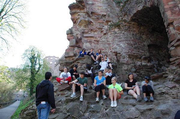 MEI International Academy